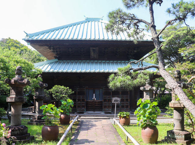 【神奈川県】 現存する鎌倉唯一の尼寺『英勝寺』