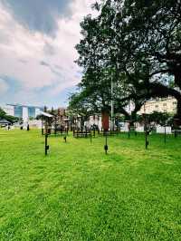 A Sail Through Time – “The House Between The Winds” at Empress Lawn