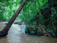 The Hidden Falls ในสวนลับ