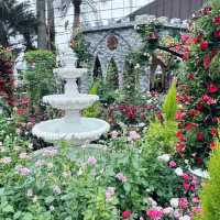 A Blooming Affair: Rose Romance at Gardens by the Bay 🇸🇬