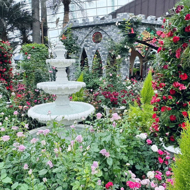 A Blooming Affair: Rose Romance at Gardens by the Bay 🇸🇬