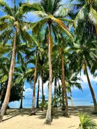 Borawan Island’s Quiet Charm – Padre Burgos, Quezon