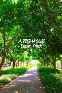 Spring in Taipei feels like a quiet secret 🌸🐿️
