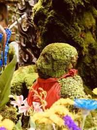 Hozen-ji Temple (法善寺) – Namba’s Hidden Oasis of Moss & Magic** 🍃✨ 