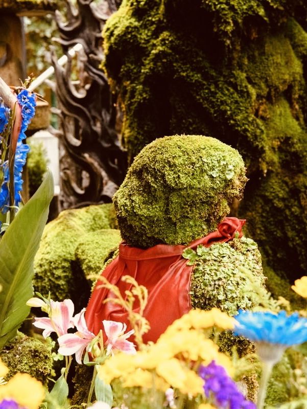 Hozen-ji Temple (法善寺) – Namba’s Hidden Oasis of Moss & Magic** 🍃✨ 
