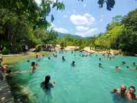Nature’s Pool Party
