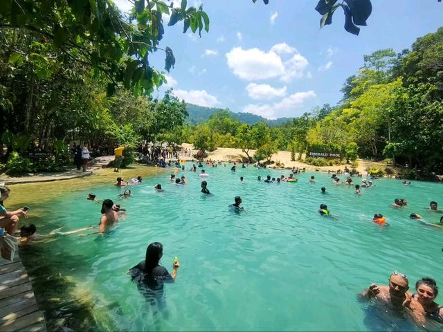Nature’s Pool Party