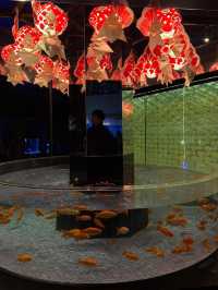 Sumida Aquarium 🐠🎏✨