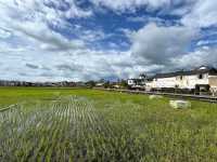 🌻✨ Xizhou Fields: A Day of Unexpected Beauty and Breezy Rides