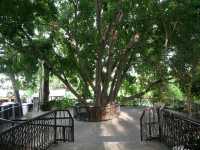 หน้ามนขนมหวานคาเฟ่ - บางแสน