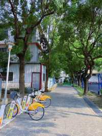 🌳 躲進這座八德小森林：高城公園