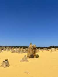 🪨 Pinnacles Desert – Western Australia’s Alien Landscape 🌌🛸