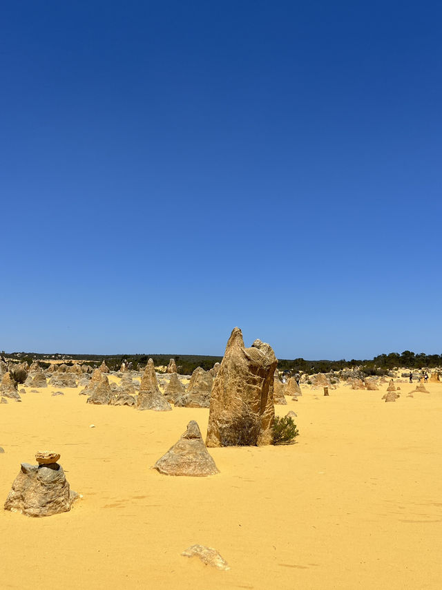 🪨 Pinnacles Desert – Western Australia’s Alien Landscape 🌌🛸