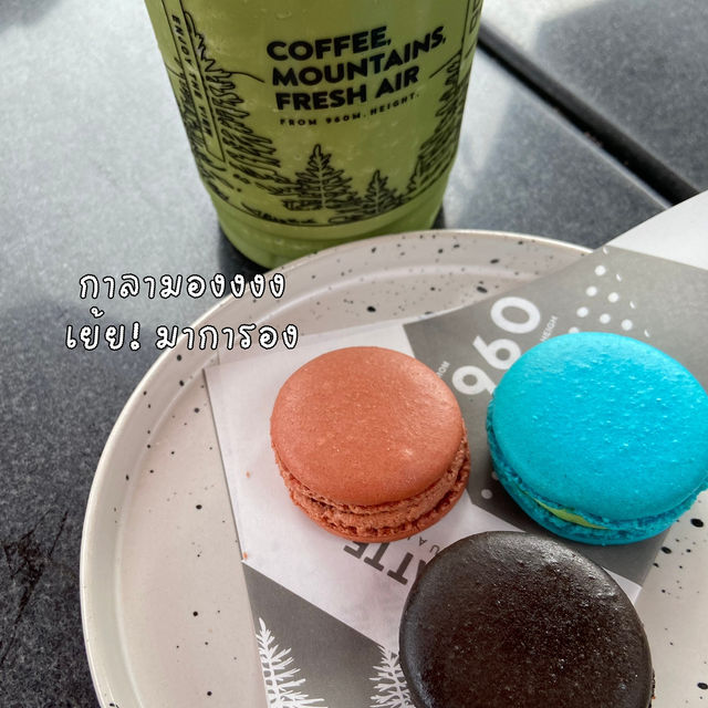 Pino Latte Resort & Cafe คาเฟ่วิวภูเขา