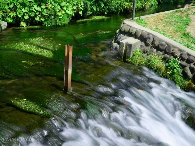 【山形】池そのものがご神体！神秘の泉「丸池様」