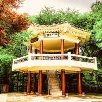 Subong Park: Incheon’s Hidden Hilltop Sanctuary – A Solo Traveler’s Urban Escape"** 🌸🌆 