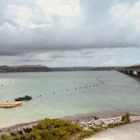 Kouri Island: Okinawa’s Tiny Paradise – A Solo Traveler’s Day Trip Dream"** 🌊🌴 