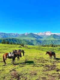 Endless Vibes & Wild Beauty: Ili Kazakh Prefecture Totally Stole My Heart