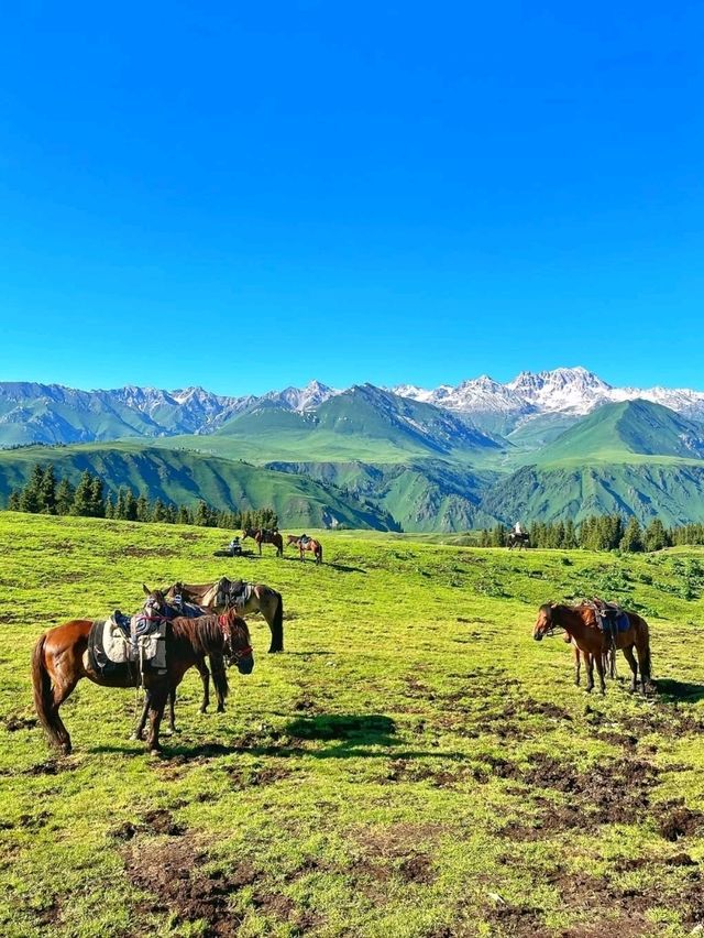 Endless Vibes & Wild Beauty: Ili Kazakh Prefecture Totally Stole My Heart