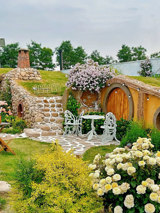 Qingdao | A Hidden Monet Garden Deep in Laoshan