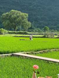 Bamboo Dreams: Rafting Through Yangshuo's Hidden Valleys