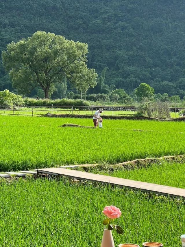 Bamboo Dreams: Rafting Through Yangshuo's Hidden Valleys