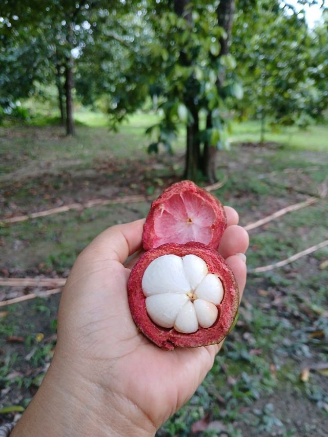 📍1 เดย์ทริป จันทบุรี