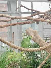 Meet Cute Animals at Begonia Bird Park