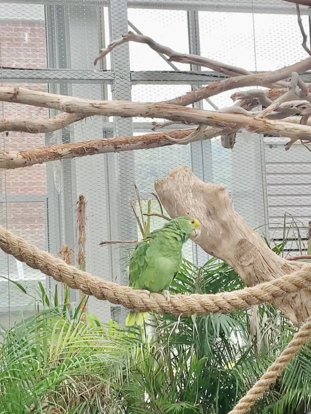 Meet Cute Animals at Begonia Bird Park