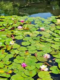Guo's Villa  – The Last Private Lakeside Garden