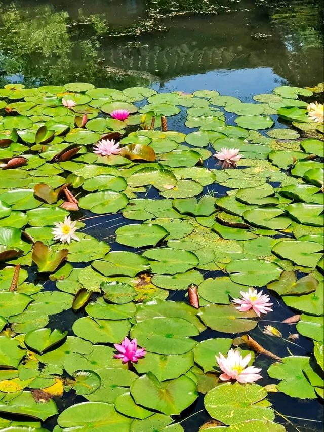 Guo's Villa  – The Last Private Lakeside Garden
