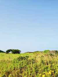 A Picturesque Coastal Beacon in a Serene Setting