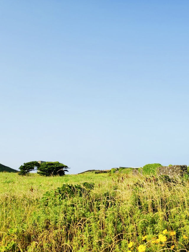 A Picturesque Coastal Beacon in a Serene Setting