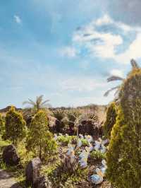Engaging Family Fun with Diverse Activities