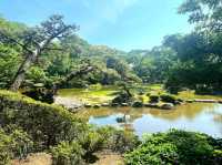 Peaceful Moments at Tennoji Park, Osaka
