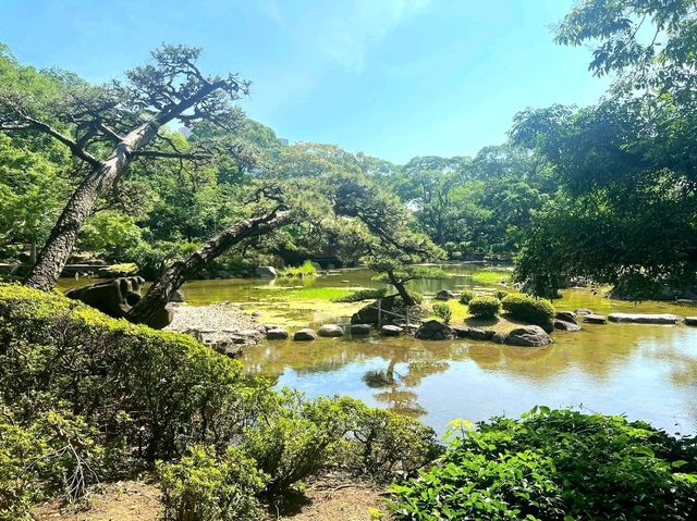 Peaceful Moments at Tennoji Park, Osaka