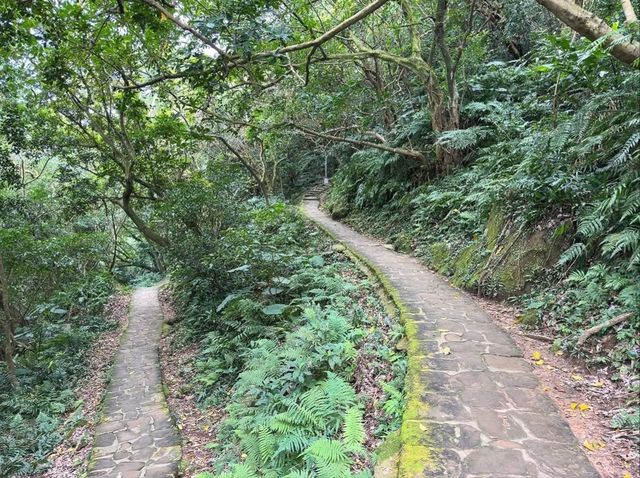 Bailusi Mountain Was Short Sweet and Surprisingly Pretty