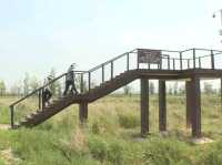 “Golden Currents: Tongguan Yellow River Wetland Sanctuary”
