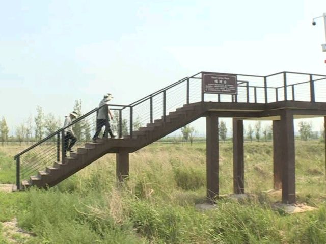 “Golden Currents: Tongguan Yellow River Wetland Sanctuary”