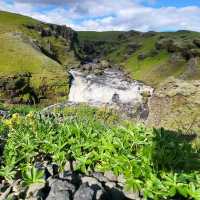 Skógafoss – “Iceland’s Thunderous Curtain of Mist”
