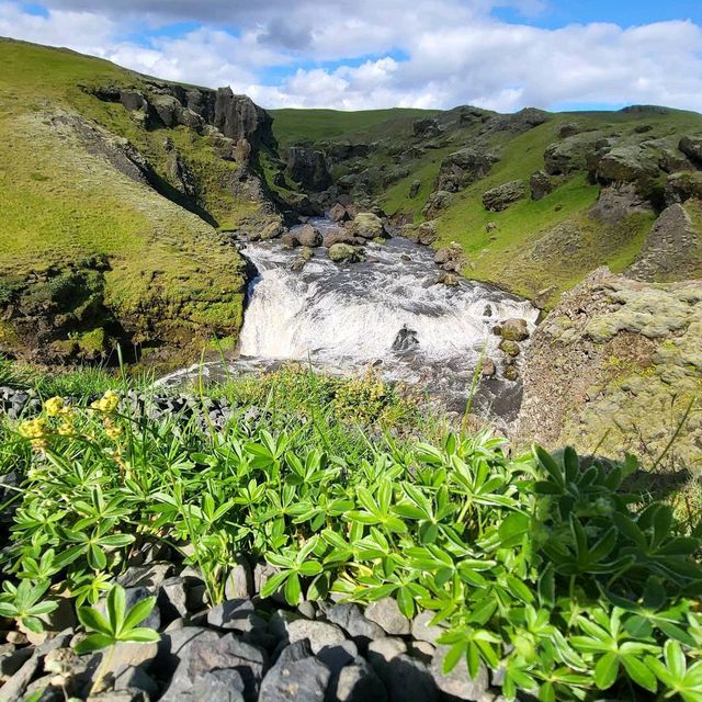 Skógafoss – “Iceland’s Thunderous Curtain of Mist”