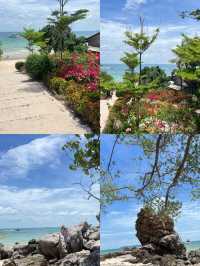 เกาะล้าน แบบ One Day Trip เที่ยวเกาะล้าน