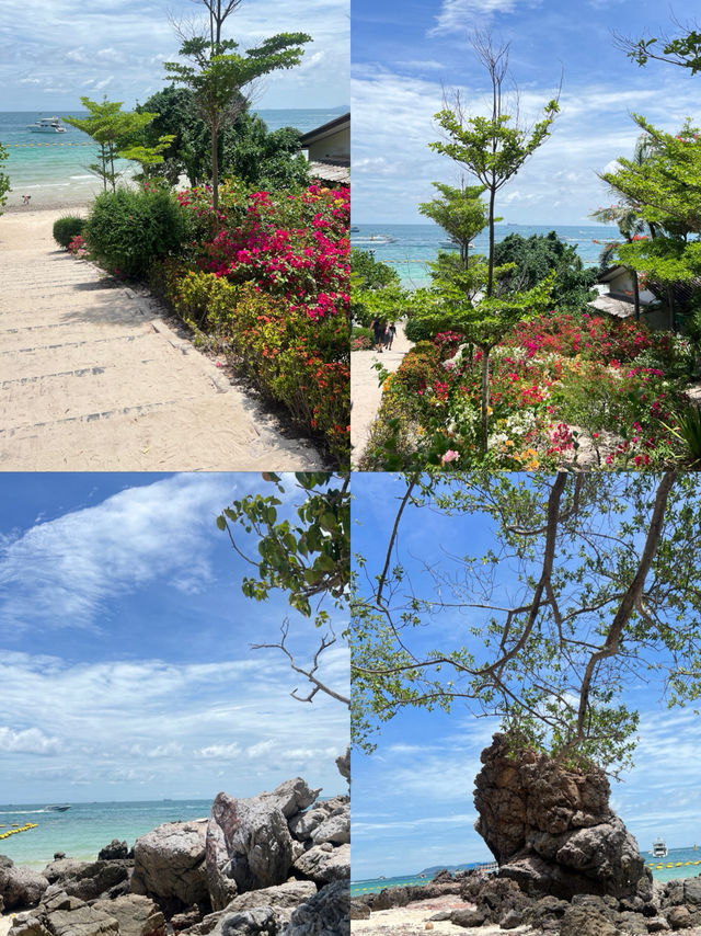 เกาะล้าน แบบ One Day Trip เที่ยวเกาะล้าน เกาะล้าน แบบ One Day Trip เที่ยวเกาะล้าน
