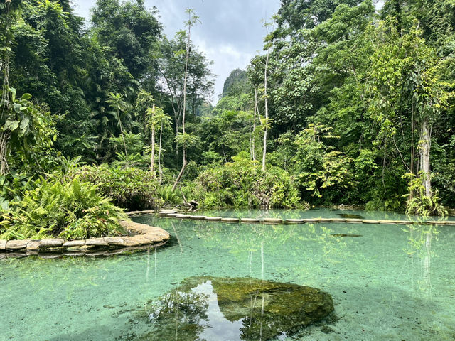 “ป่าต้นน้ำบ้านน้ำราด – พักผ่อนท่ามกลางธรรมชาติ  “ป่าต้นน้ำบ้านน้ำราด – พักผ่อนท่ามกลางธรรมชาติ