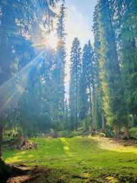 Pastures of Paradise: The Untamed Beauty of Ili