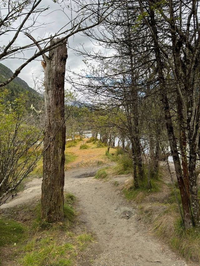 A Relaxed Journey Through Mountain Splendor