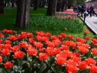 Zhongshan Park – The Imperial Ancestral Garden Turned People’s Paradise