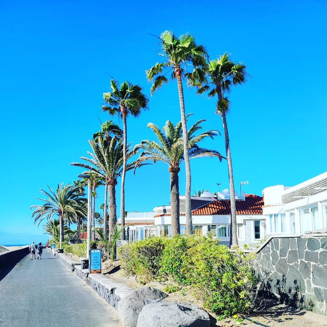 Sun, Sand, and Scenic Dunes in Maspalomas 