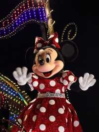 ディズニーランドで見れる夜の光のパレード！