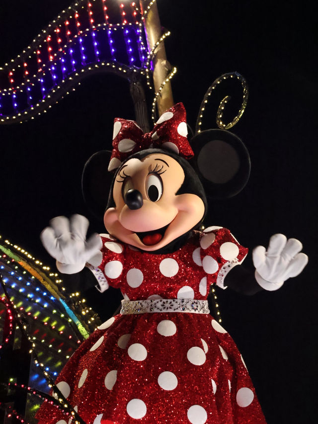 ディズニーランドで見れる夜の光のパレード！